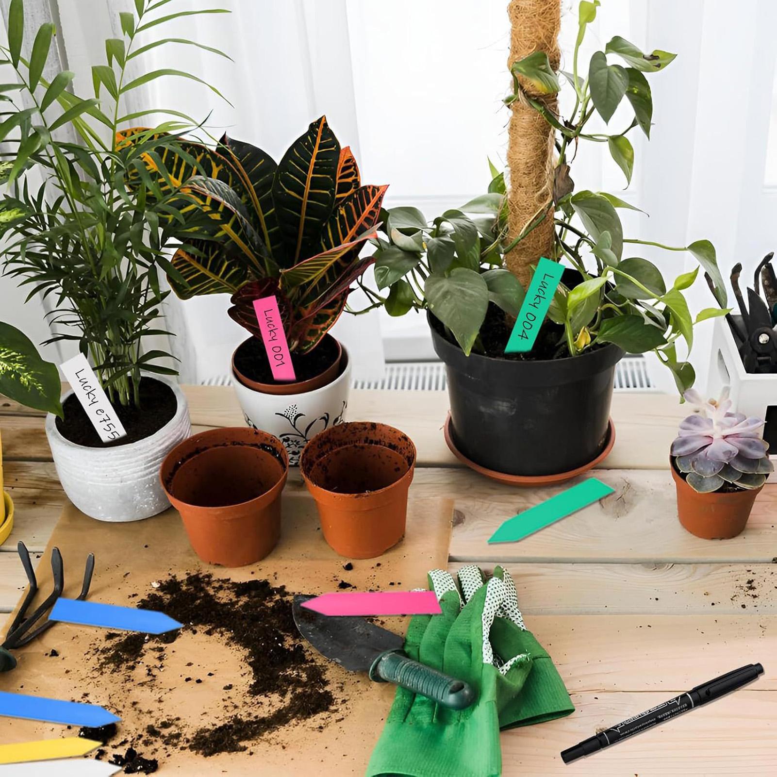 500Pcs Plant Labels Garden Sig - Plant Label Tags review and price