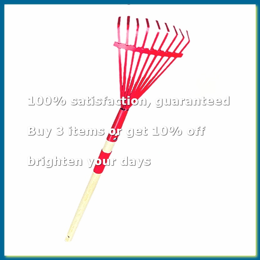 Children'S Rake with Hardwood  - Gardening Tools For 3 Year Old review and price