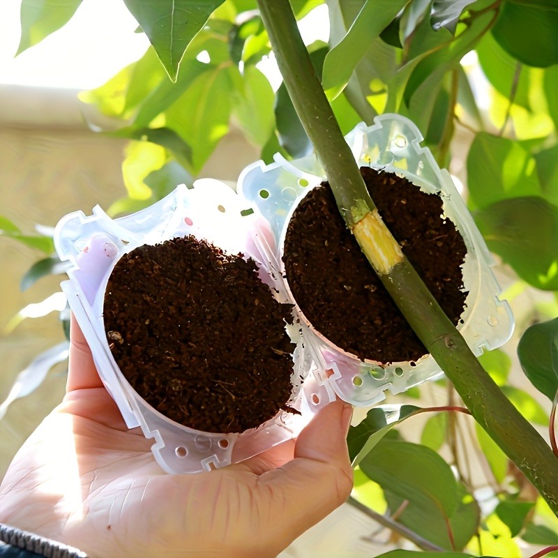 10Pcs High Pressure Plant Root - Gardening Tools Shop review and price